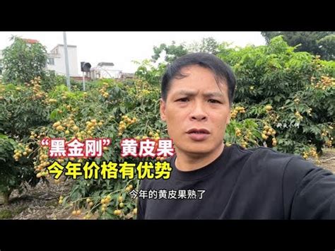 麒麟花招財|專訪玄學大師:麒麟花招財心得